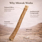 Miswak Stick