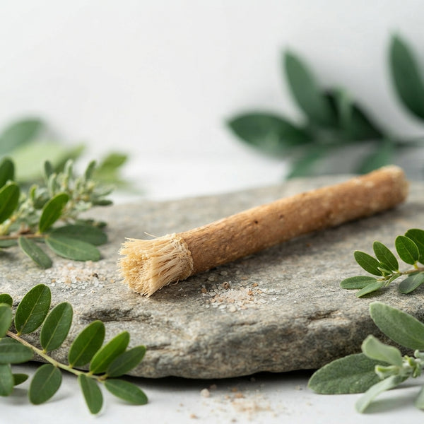 A natural Miswak stick resting among fresh leaves and minerals on a stone surface, representing its organic oral care benefit